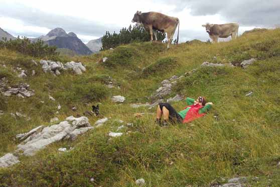 Katrin mit unseren Kühen auf der Alm