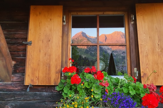 Außenaufnahme Gehrnerhof im Sommer