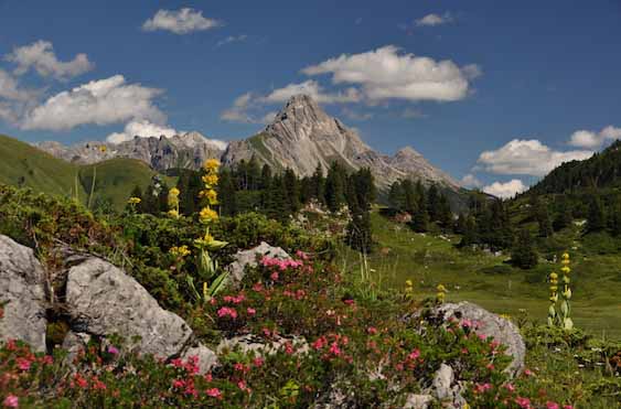 Foto Berge